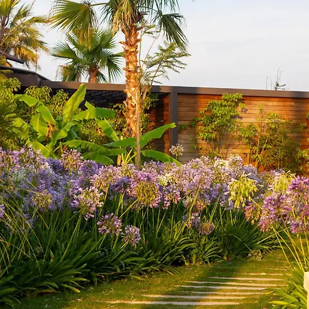 Hotel Reges, A Luxury Collection & Spa, Çeşme